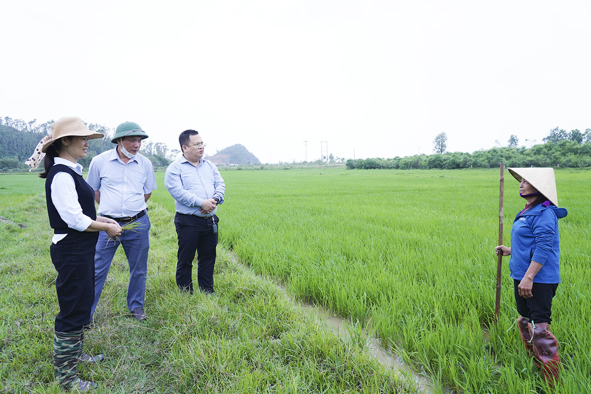 Lãnh đạo Cổ Đạm kiểm tra, động viên sản xuất đầu xuân