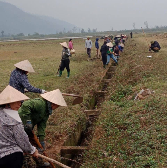 Khí Thế Lao Động Trên Cánh Đồng Cổ Đạm Trước Thềm Vụ Đông Xuân
