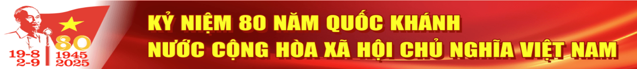 Banner 4