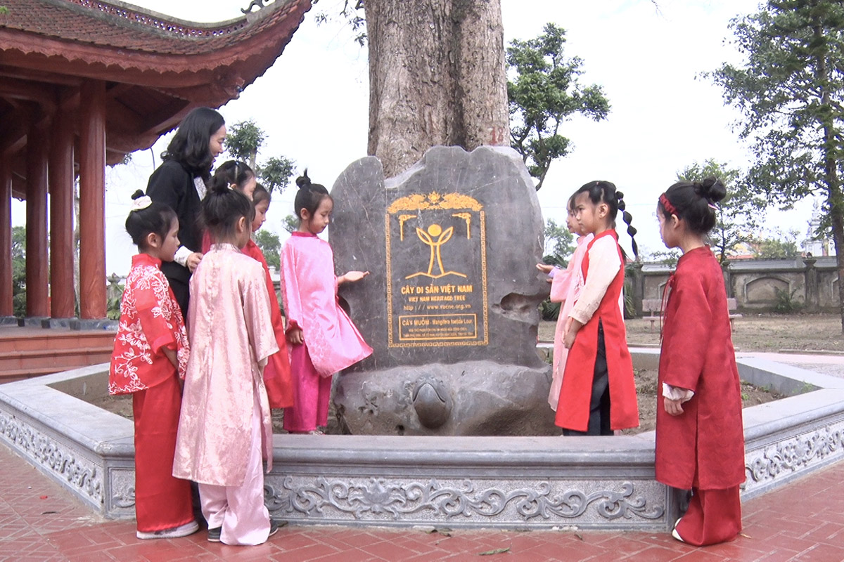 Ý nghĩa hoạt động trải nghiệm “Cổ Đạm – Quê hương em” của học sinh Tiểu học Cổ Đạm