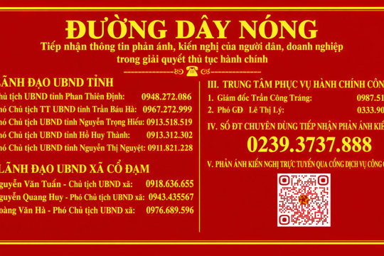 Đường dây nóng tiếp nhận thông tin phản ánh, kiến nghị của người dân, doanh nghiệp trong giải quyết thủ tục hành chính 