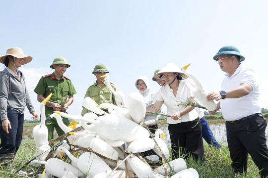 Cổ Đạm tiêu hủy nhiều dụng cụ bẫy, bắt chim hoang dã