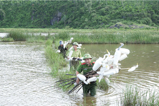 Cổ Đạm tiếp tục xử lý tình trạng săn bắt chim hoang dã trái phép