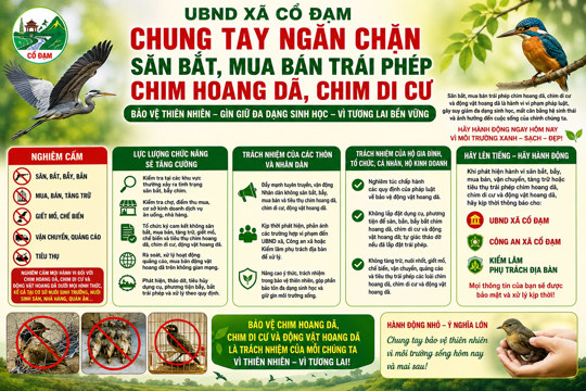 Tăng cường kiểm tra, xử lý các hành vi săn bắt, mua bán trái pháp luật các loài chim hoang dã, chim di cư và động vật hoang dã