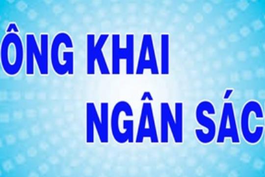 Quyết định về việc công bố công khai Dự toán thu, chi ngân sách xã năm 2026 