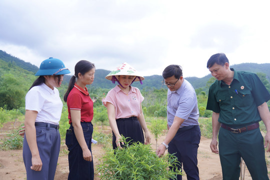 Hội Cựu chiến binh xã Cổ Đạm ra mắt mô hình "Dân vận khéo" cải tạo vườn tạp, phát triển kinh tế vườn