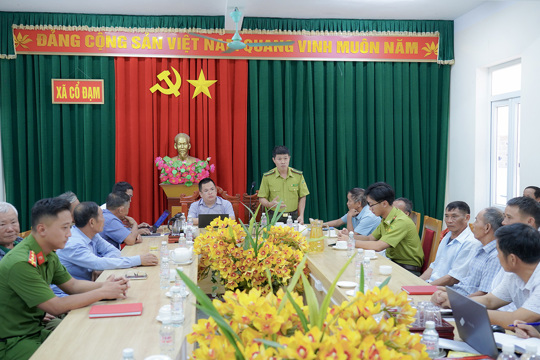 Nâng cao tinh thần trách nhiệm, thực hiện nghiêm các quy định về quản lý, bảo vệ rừng và phòng cháy chữa cháy rừng