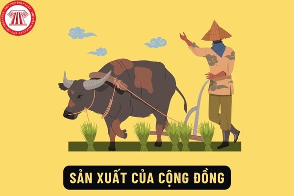 Đề Án sản xuất vụ Xuân năm 2026 