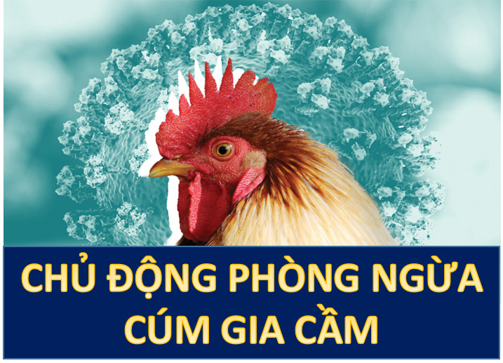 Triển Khai Các Giải Pháp Phòng, Chống Bệnh Cúm Gia Cầm Trên Địa Bàn Xã Cổ Đạm 