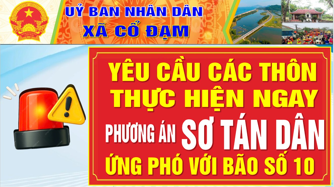 Khẩn trương thực hiện phương án sơ tán dân ứng phó với bão số 10 (Bualoi) 